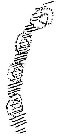 Zeichnung aus GA 183, S. 37