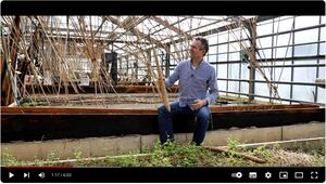 Was sind Lichtwurzeln - Einführung mit Hans-Martin Aurich.jpg